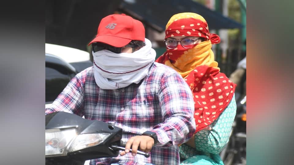 West UP Weather: Fire is raining from the sky, land is scorching, humans, animals and birds are also suffering