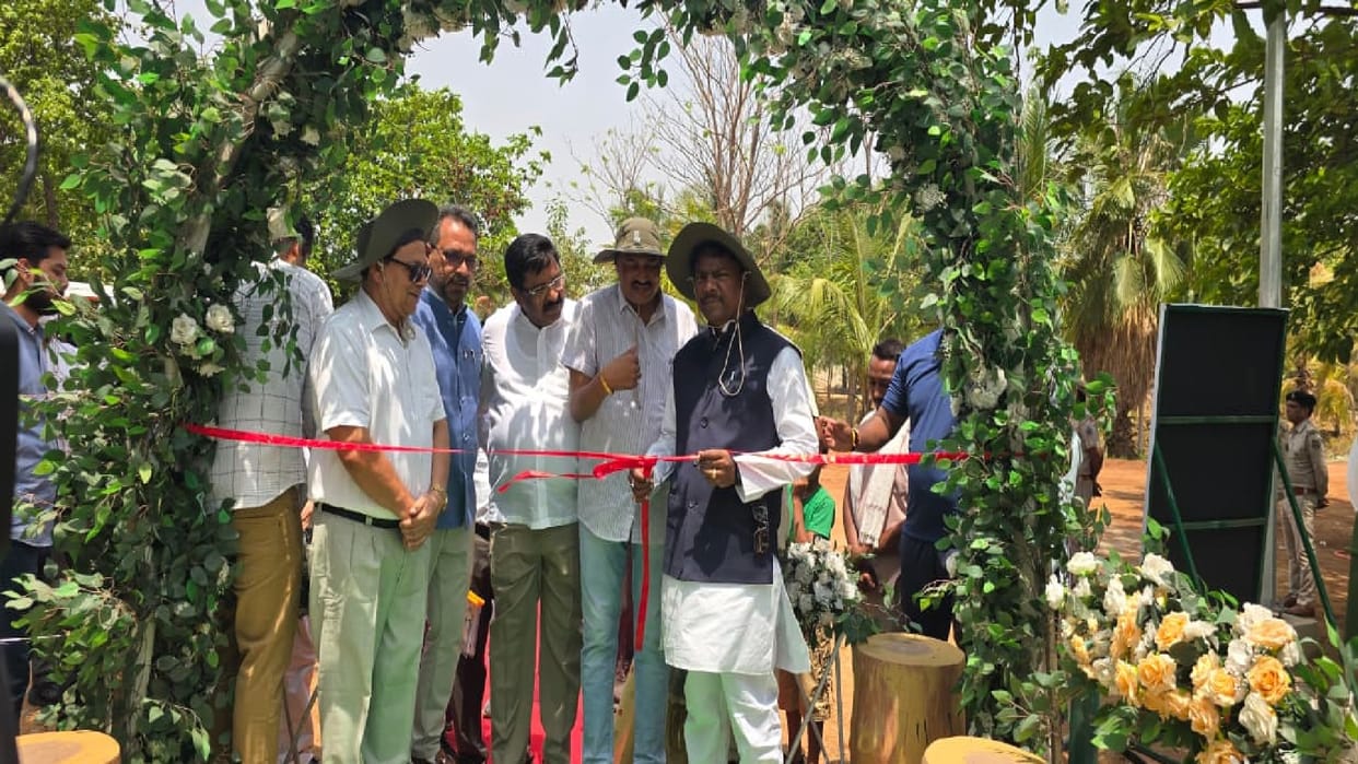 Electric safari and boating started in Nava Raipur Jungle Safari, tourism will get a new dimension