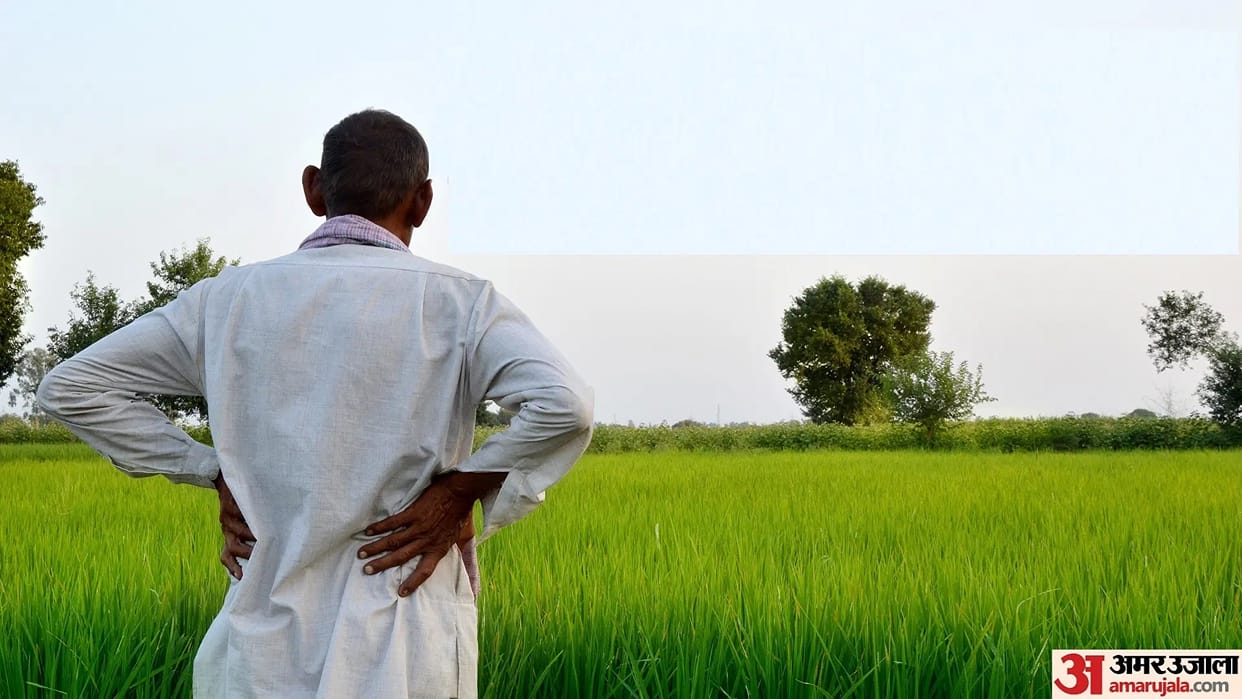 Farmers are not bound to get one bag of DAP-urea per acre, committees have ample stock