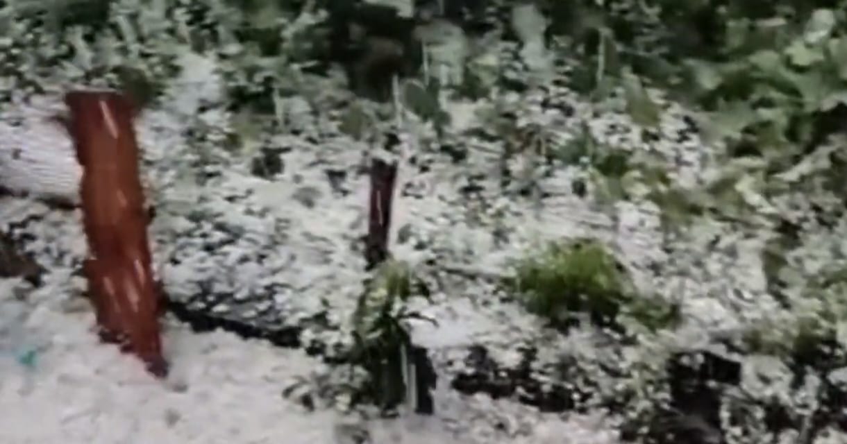 Snow blankets Razdan Pass, hailstorm hits Bandipora plains