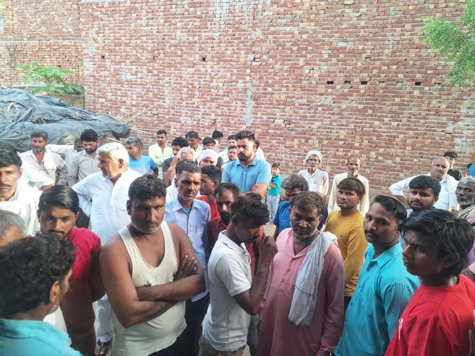 Woman dies in monkey attack in shamli