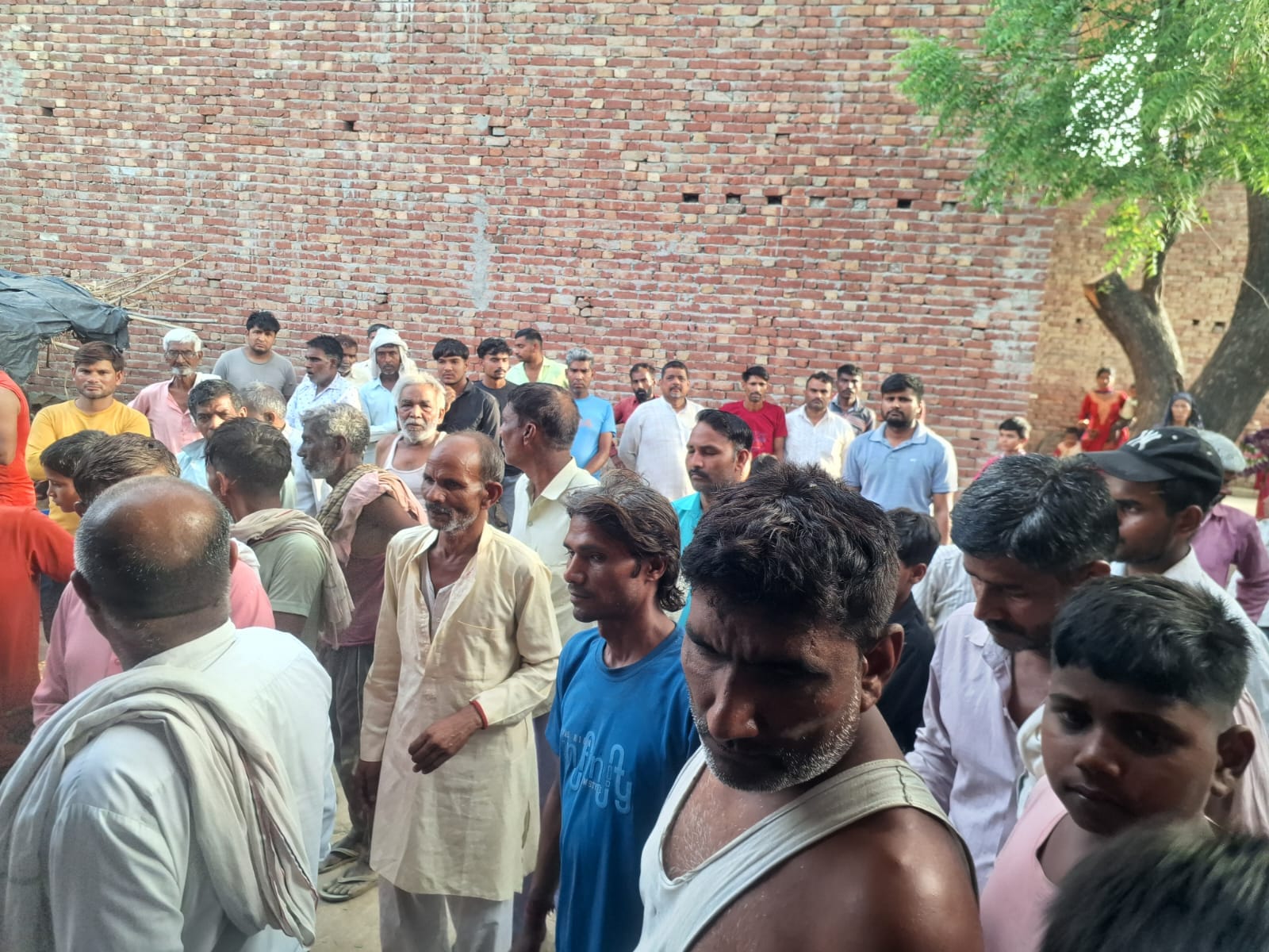 Woman dies in monkey attack in shamli