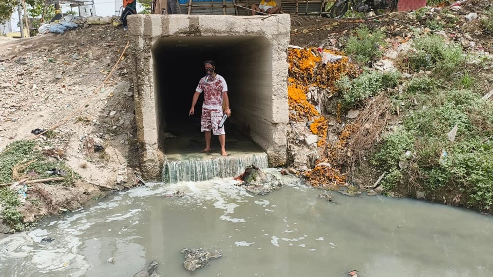 Protesters in Vrindavan staged demonstration against Yamuna pollution by acting as cockroaches inside drain