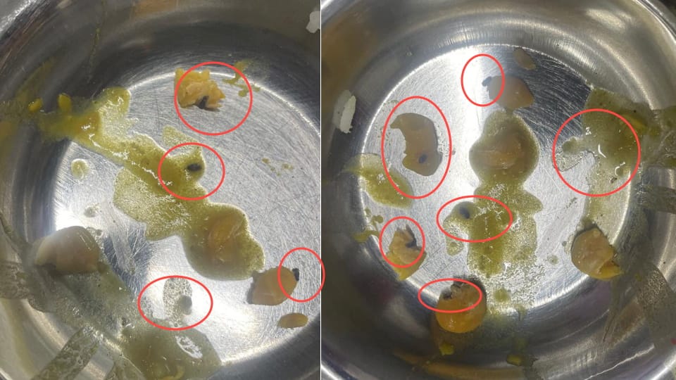 Doon Medical College Worms Found in Mess Food Several MBBS Students Consumed Uproar