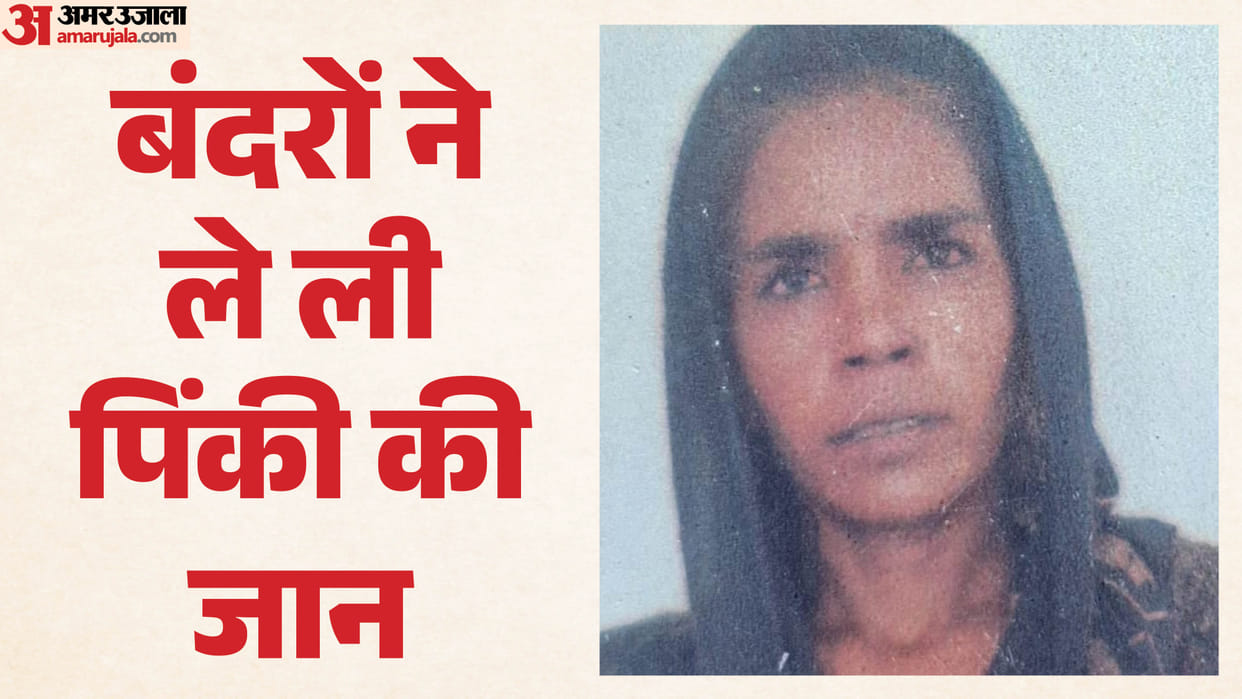 Woman dies in monkey attack in shamli