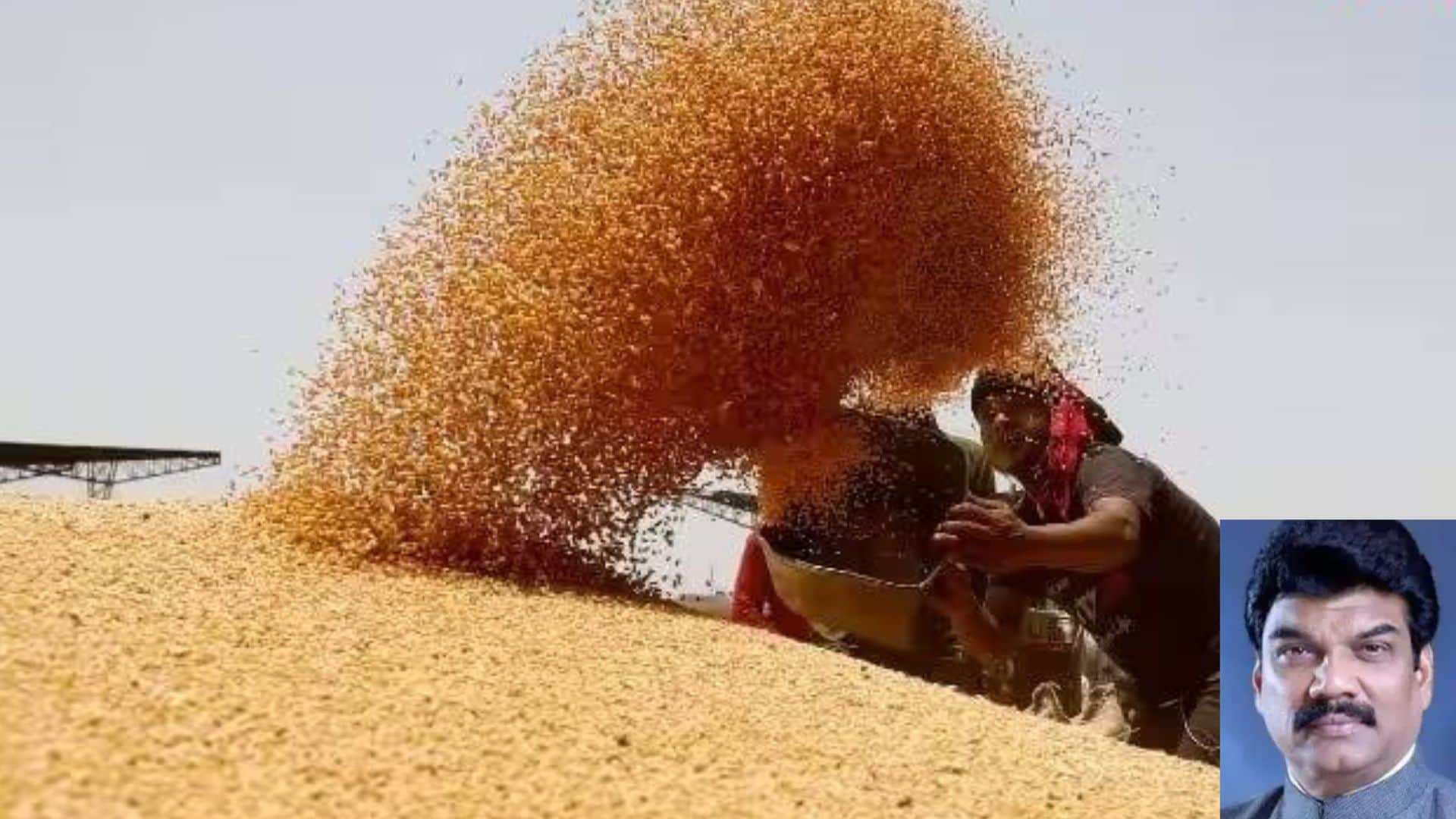 मध्य प्रदेश में गेहूं खरीदी