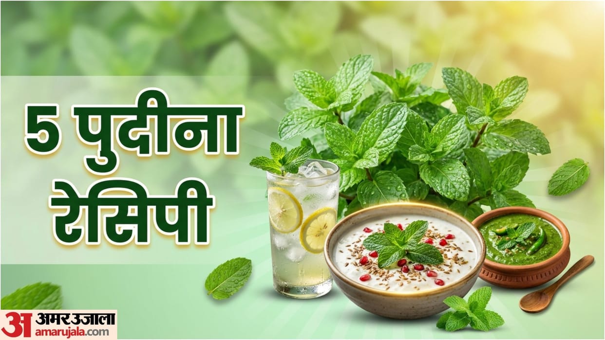 Summer Mint Recipes in Hindi Pudina Se Banaen Tasty Dishes