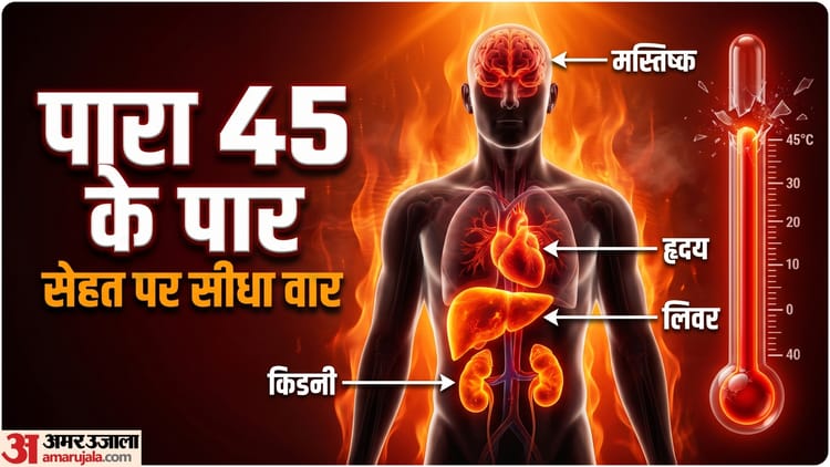 देशभर में गर्मी का कहर, 45°C से अधिक तापमान का किडनी-लिवर, हार्ट पर क्या होता है असर?