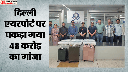 दिल्ली एयरपोर्ट पर पकड़ा गया 48 करोड़ का गांजा
