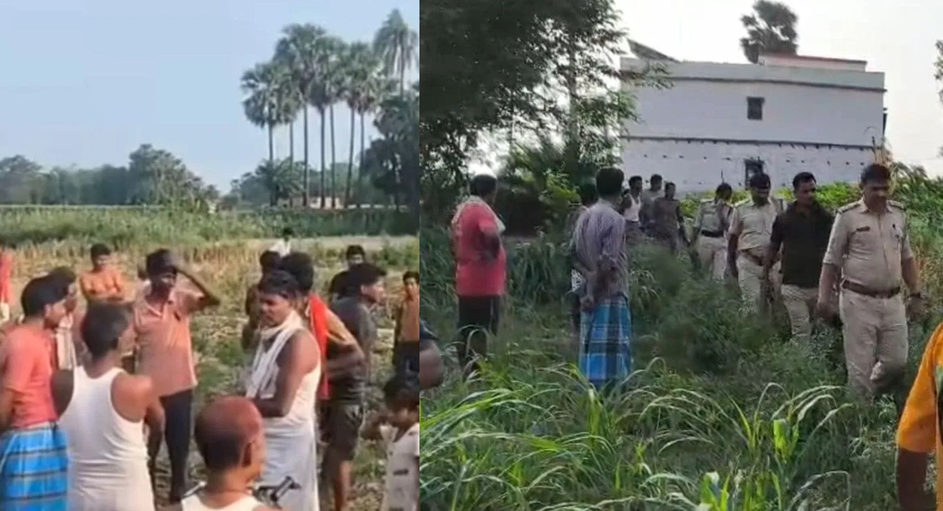 समस्तीपुर में मक्के के खेत से युवक का सड़ा-गला शव बरामद