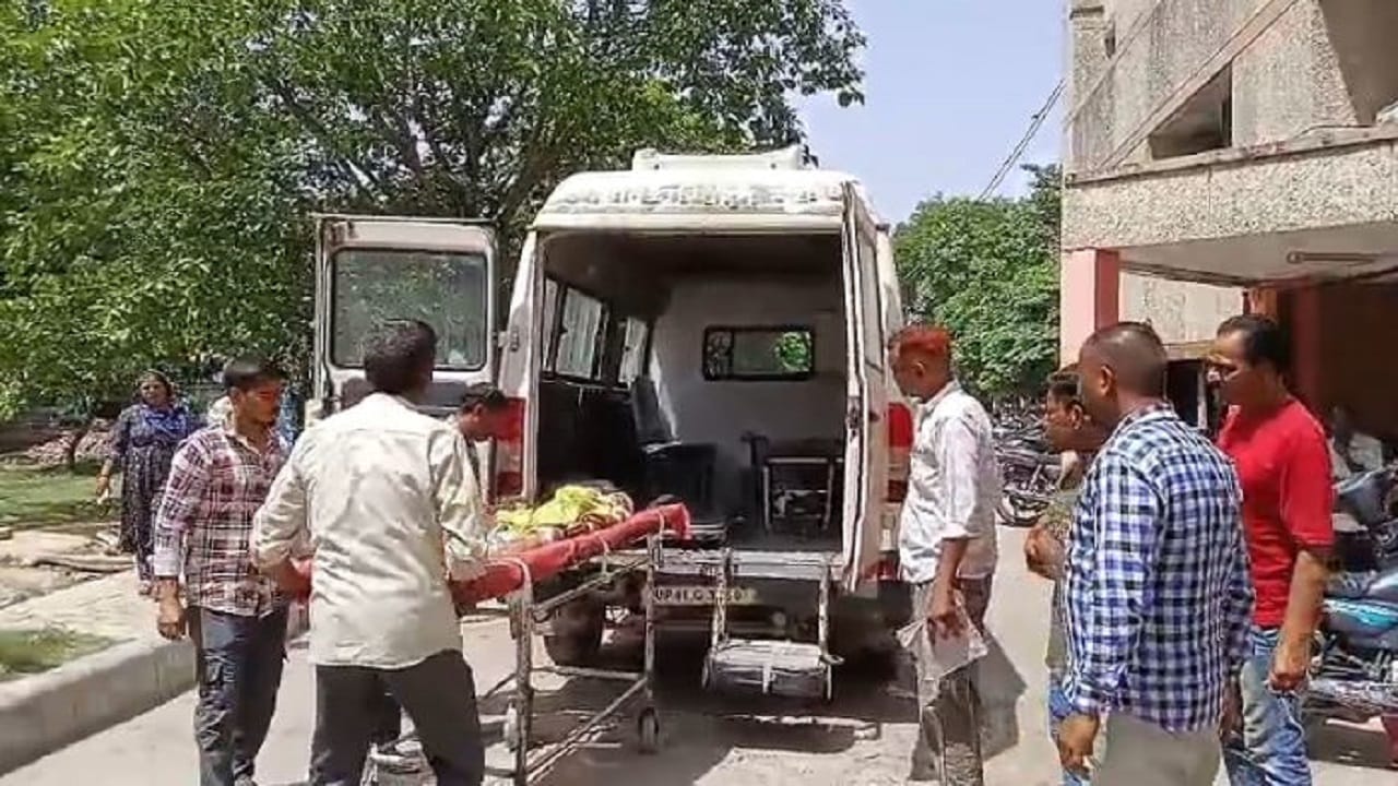 Dogs killed 11 year old girl in Shahjahanpur