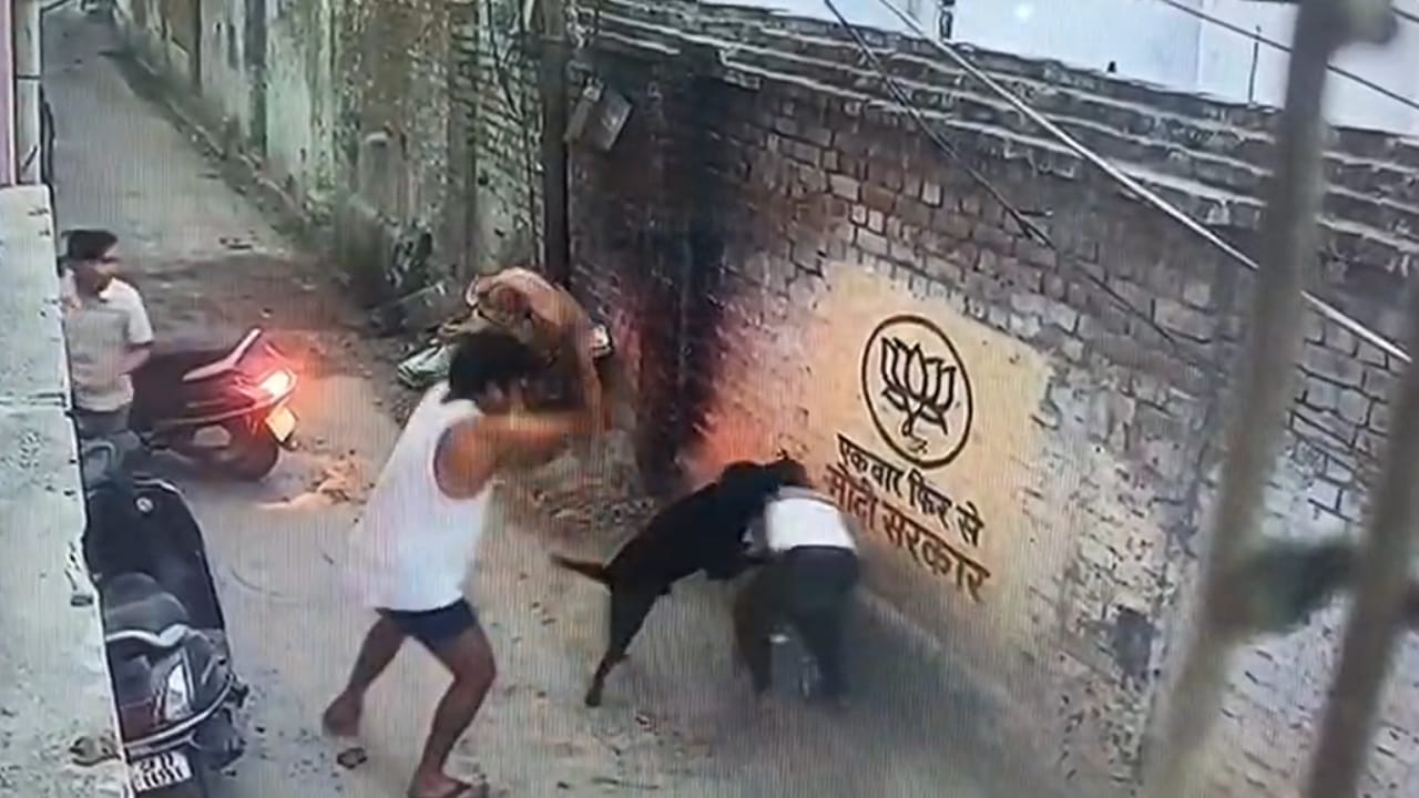 पालतू कुत्ते ने किया हमला