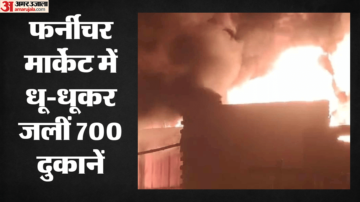 700 Shops Engulfed in Flames at Furniture Market Fire Breaks Out in Shastri Park Crowd Pelts Fire Truck with S