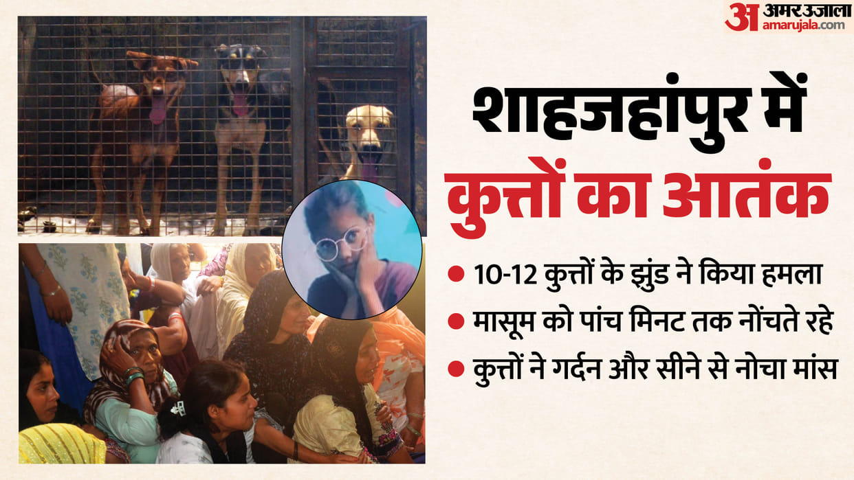 Dogs killed 11 year old girl in Shahjahanpur