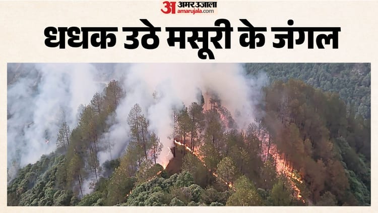Mussoorie: कैमल बैक के जंगल में लगी आग, देखते ही देखते लिया विकराल रूप, धुएं से लोगों का सांस लेना मुश्किल