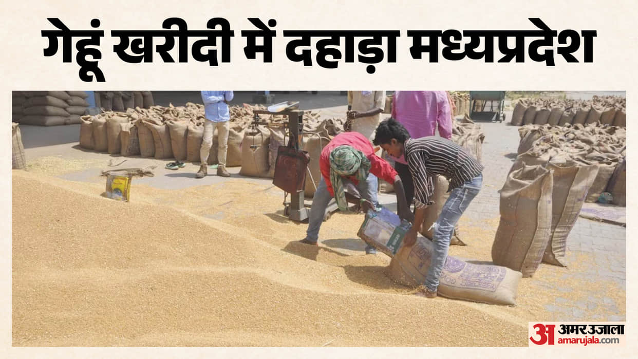 MP News: The state became number one in purchasing wheat from the maximum number of farmers at the support pri