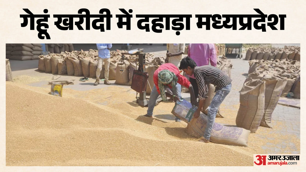 MP News: The state became number one in purchasing wheat from the maximum number of farmers at the support pri