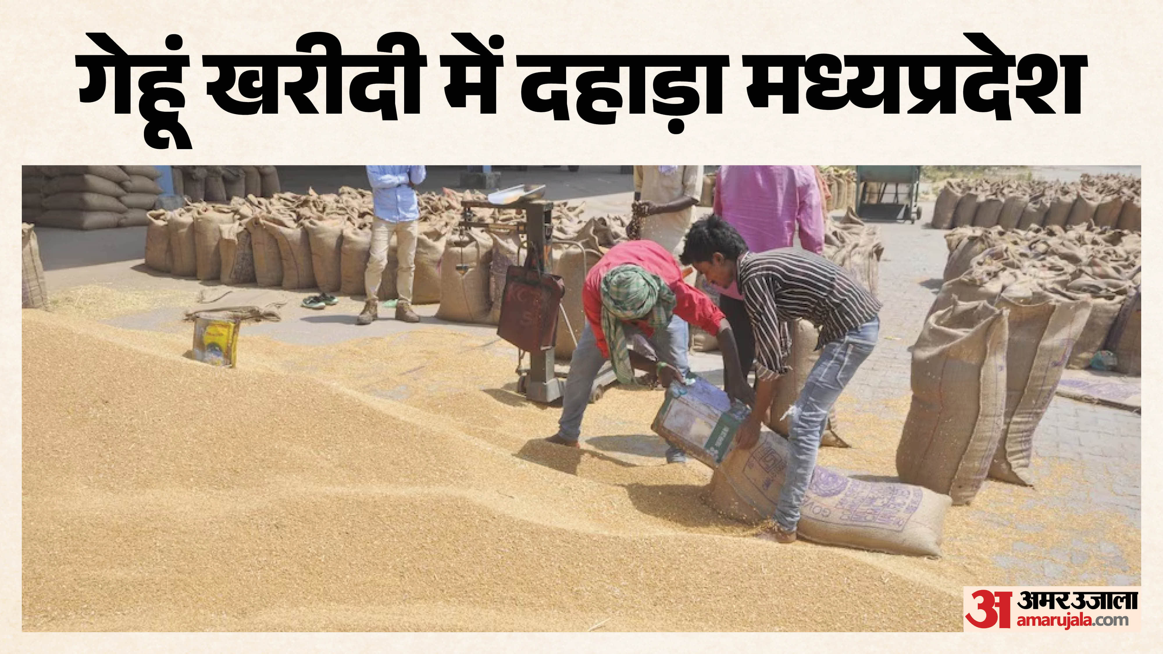 मध्यप्रदेश ने गेहूं खरीदी में बनाया नया रिकॉर्ड