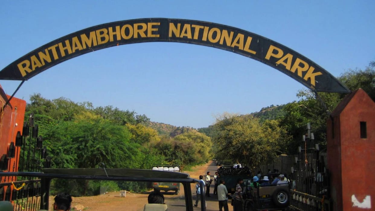 Ranthambore on High Alert Over Canine Distemper Virus Forest Dept Steps Up Tiger Safety Measures