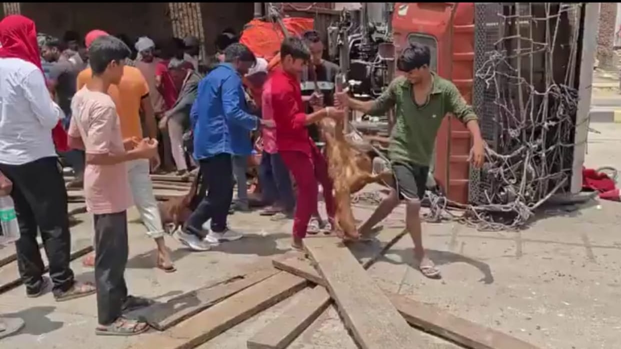 Kaushambi News A truck full of goats went out of control and overturned on the highway