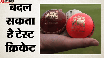 Matches Could Be Played with the Pink Ball During the Day as Well Major Proposal at ICC Meeting