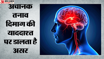 New Study Reveals: Sudden Stress Has a Profound Impact on the Brain, Weakening the Grip of Old Memories