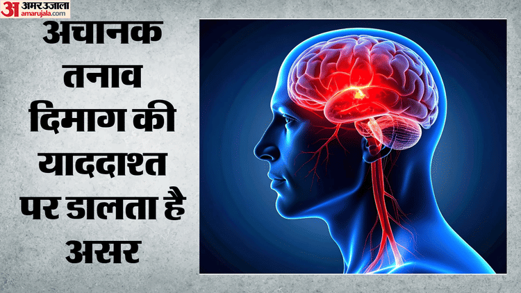 तनाव का अचानक झटका: दिमाग को लगता है गहरा असर, पुरानी यादें कमजोर होती हैं