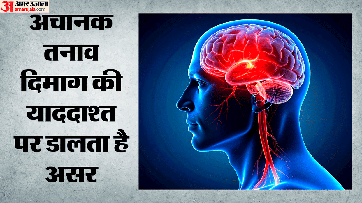 New Study Reveals: Sudden Stress Has a Profound Impact on the Brain, Weakening the Grip of Old Memories