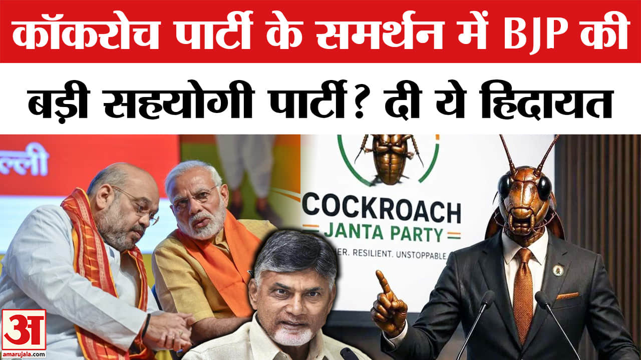 कॉकरोच टीडीपी