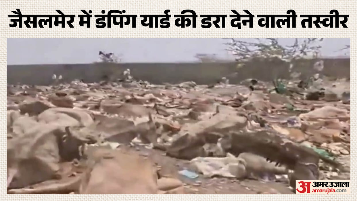 Rajasthan News: Over 500 Rotten Cow Carcasses Found in Open in Jaisalmer Massive Outrage Erupts