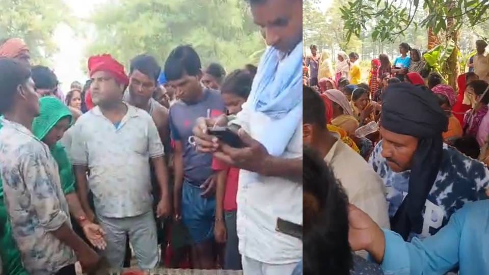 tiger attacked and killed woman In Bahraich She had gone to field to cut grass for her livestock