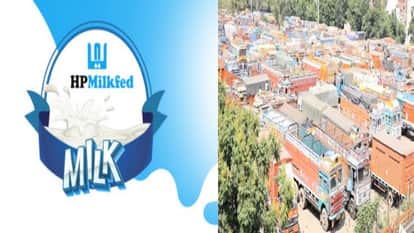 Milkfed Hikes Milk Prices by Two Rupees; Nalagarh Truck Union Raises Freight Charges