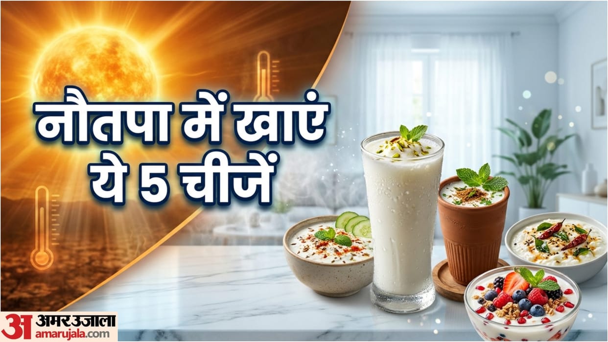 Nautapa 2026 Summer Curd Dishes Recipes For Cooling Body in Hindi Nautapa me kya khana chahiye