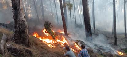 Forest fire breaks out in Rajouri, vast forest area damaged Jammu