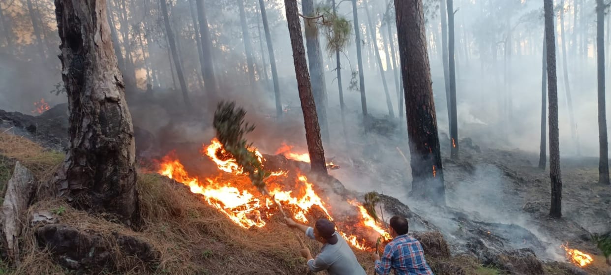 Forest fire breaks out in Rajouri, vast forest area damaged Jammu