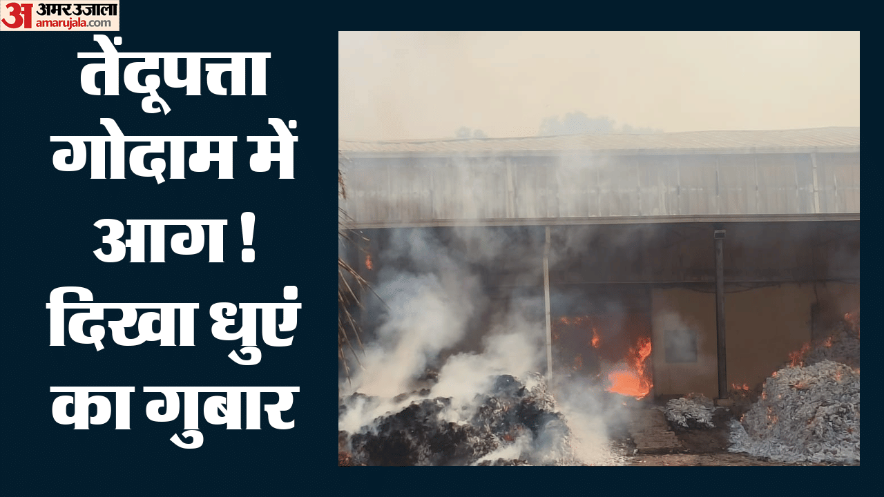 तेंदूपत्ता गोदाम में भीषण आग