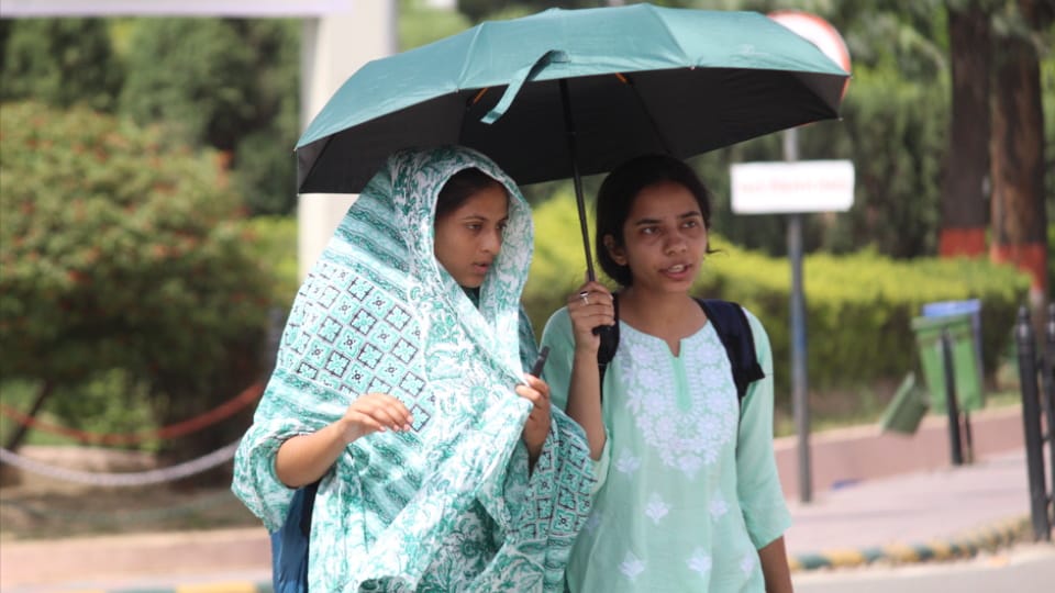 West UP Weather: Nautapa Begins in West UP, Scorching Heat Intensifies, Daily Life Affected