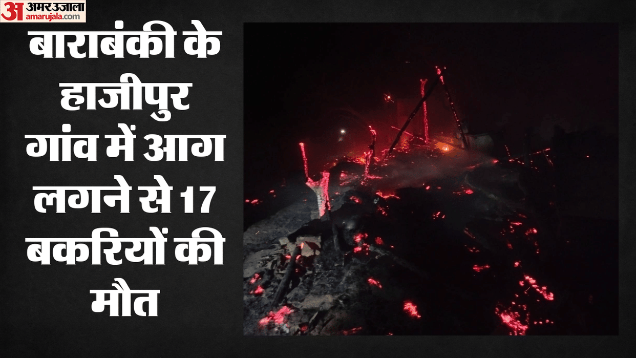 Barabanki: A fire started after midnight due to a thunderstorm, burning 17 goats to death; police arrived at t