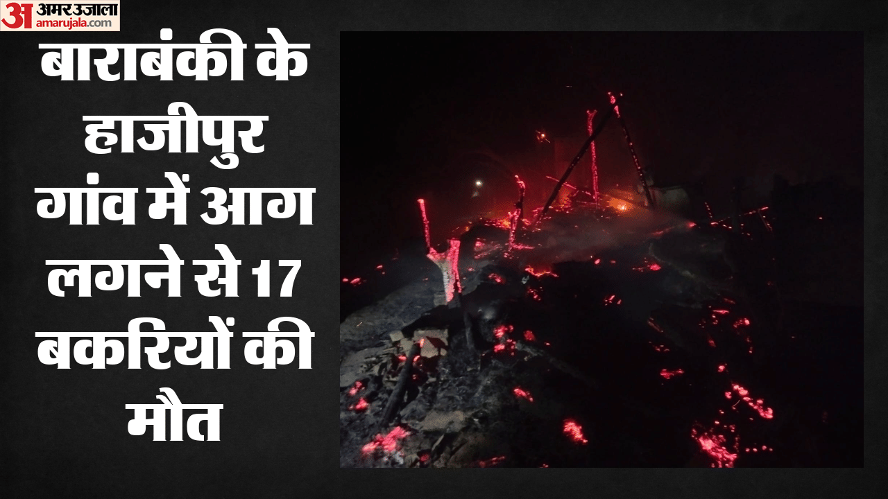 17 बकरियों की मौत