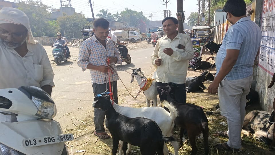 Eid-ul-Zuha: Namaz will be offered in Meerut from 5:55 am, know what will be the timings in these mosques