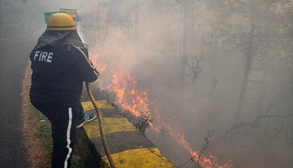 After Baldiayakhan, the forests in the Patwadanger region erupted in flames.