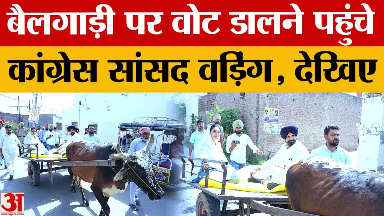 बैलगाड़ी पर सवार होकर वोट डालने पहुंचे कांग्रेस सांसद राजा वड़िंग,सुनिए क्या कहा