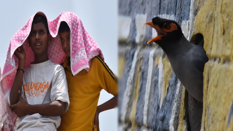 West UP Weather: Humidity Worsens Conditions, Day and Night Heat Troubles Residents