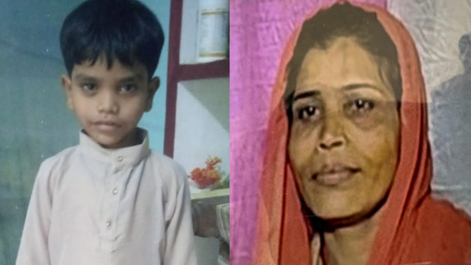 Son Dies of Diarrhea; Mother Passes Away in Shock