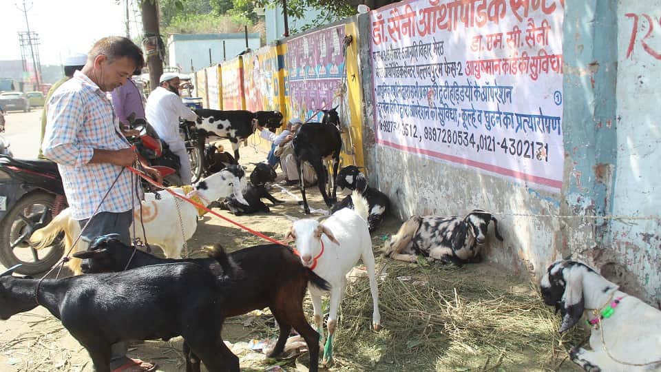 Eid-ul-Zuha: Namaz will be offered in Meerut from 5:55 am, know what will be the timings in these mosques