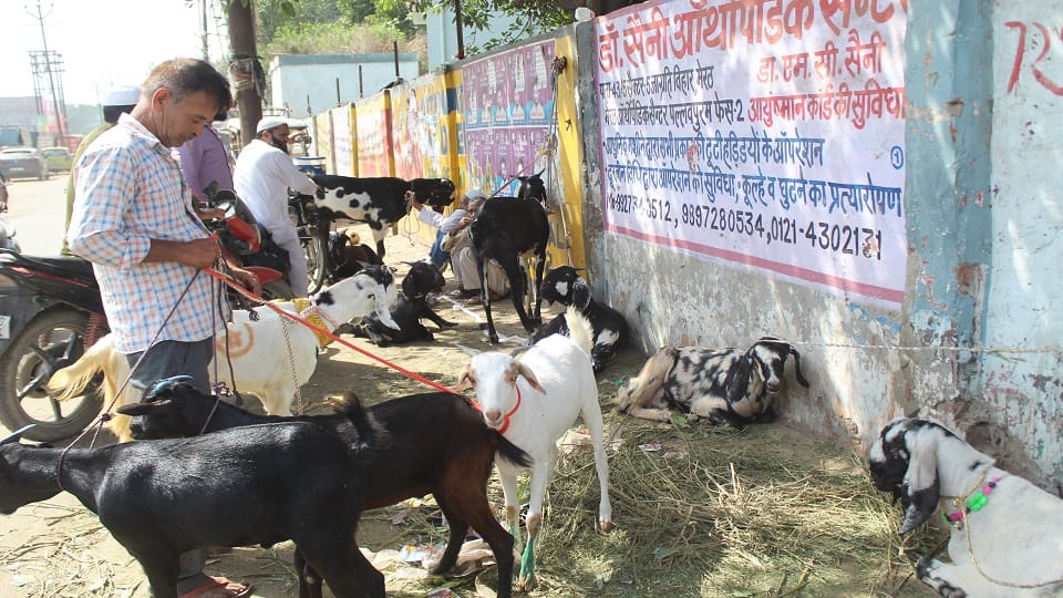 Eid-ul-Zuha: Namaz will be offered in Meerut from 5:55 am, know what will be the timings in these mosques