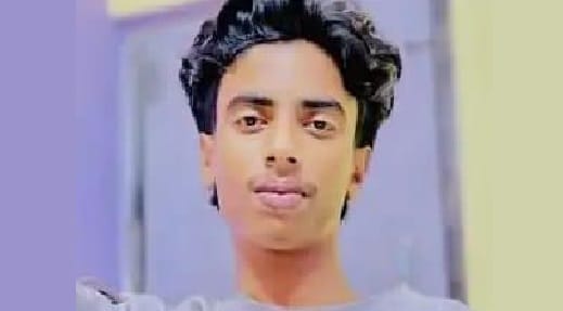 Hamirpur Teenager Insisted on Going to Swimming Pool Hanged Himself After Being Refused by family