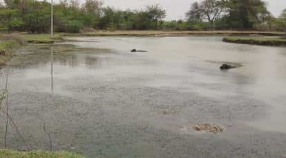Hamirpur Three friends grew up playing studying together they drowned in pond embarked on final journey