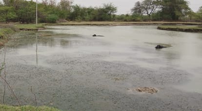 Hamirpur Three friends grew up playing studying together they drowned in pond embarked on final journey