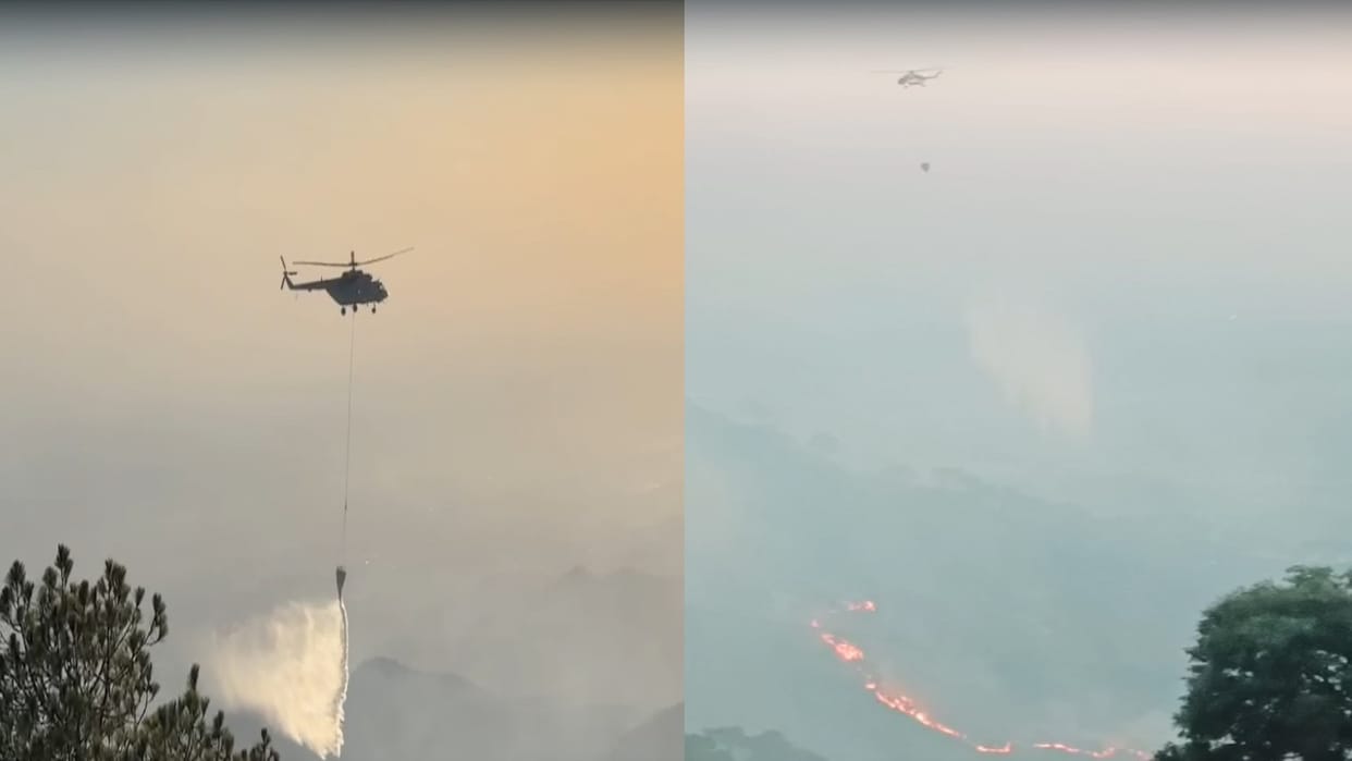 Fire Erupts in Kasauli Forests; Army Helicopter Assists